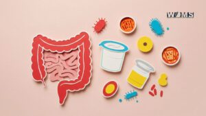 Gut-Health-in-Healing-the-Addicted-Brain.jpg