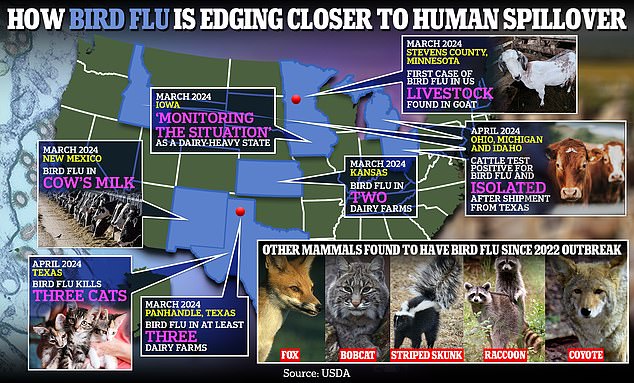 83202519-13272137-The_above_shows_how_bird_flu_is_edging_closer_to_human_spillover-a-12_1712243766118.jpg